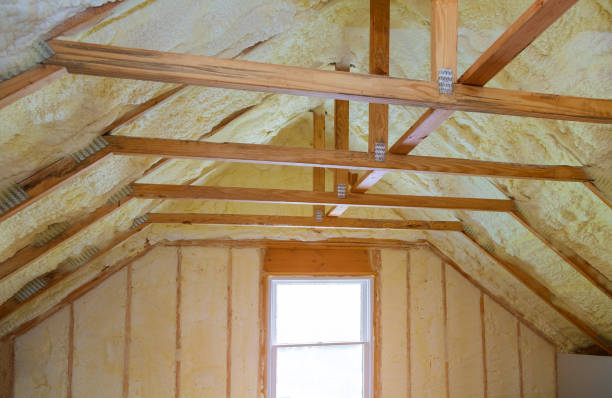 Best Geographic-Specific Insulation Services in Boyceville, WI