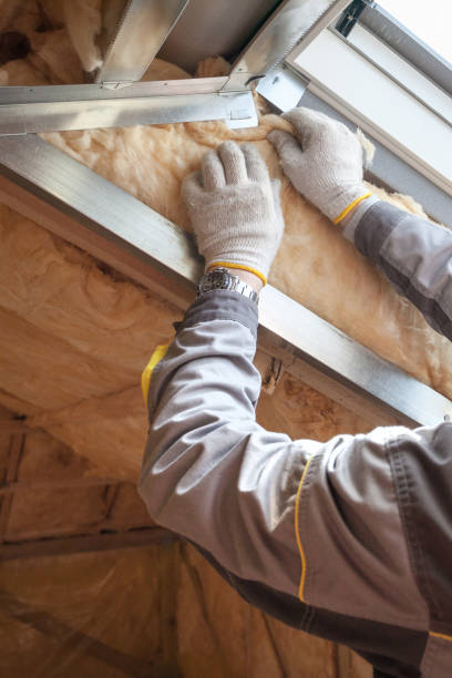 Best Insulation Maintenance and Repair in Boyceville, WI
