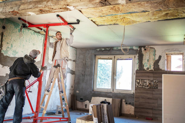 Best Residential Insulation in Boyceville, WI