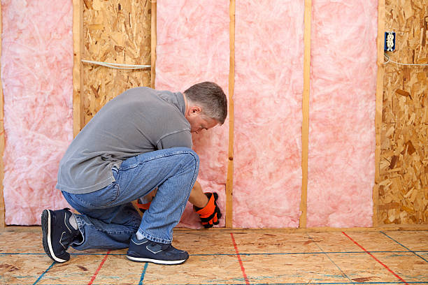 Best Eco-Friendly Insulation in Boyceville, WI
